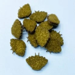 Enrico Puglisi EP Permit Crab Body Fly Fishing