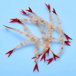 Enrico Puglisi EP Crustaceous Claws Fly Fishing