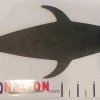 SquidNation Lures Squid Nation Black Flap "Mudflap" Dredge Teasers