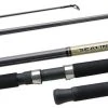 Daiwa Sealine Surf Spinning Rods