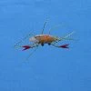 Enrico Puglisi Soft Shell Crab Fly - Sz. 1 Lures