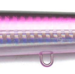 Madd Mantis Pencil Poppers Lures