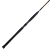 Penn Battalion II Inshore Spinning Rods