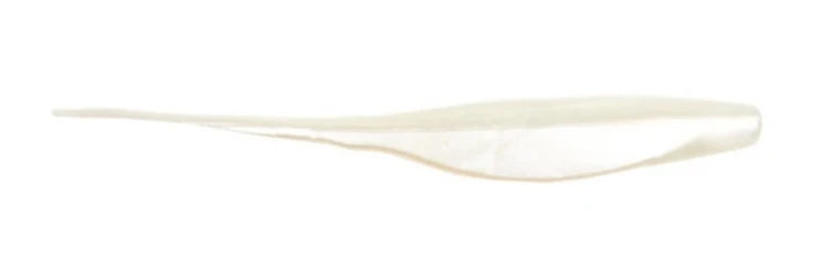 Lures Bass Assassin Shad Assassin Soft Plastics