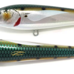 Jack Fin Argo 180-F Stickbaits