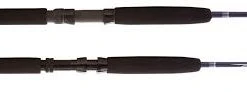 Temple Fork Outfitters TFO Seahunter Spinning Rods