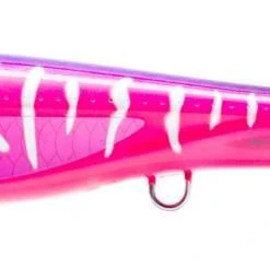 Nomad Design Dartwing 130 Skipping Popper Lures