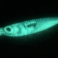 Ling Cod Jigs Lures Ling Cod Living Mac Glow Jigs